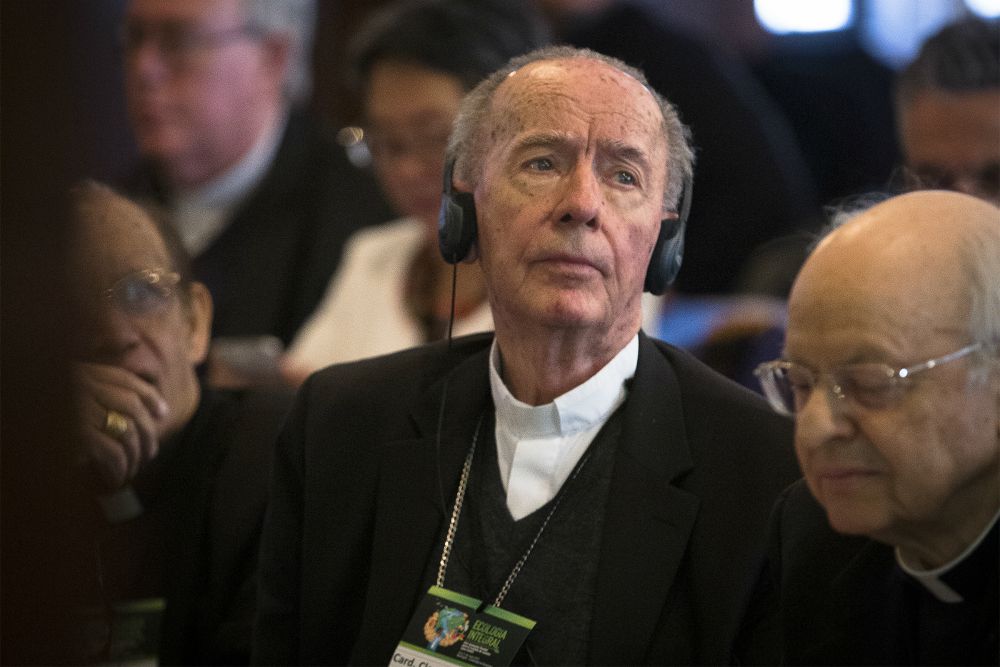 PanAmazon Ecclesial Network at center of synod preparations National